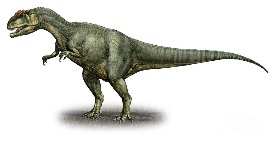 prehistoric world allosaurus