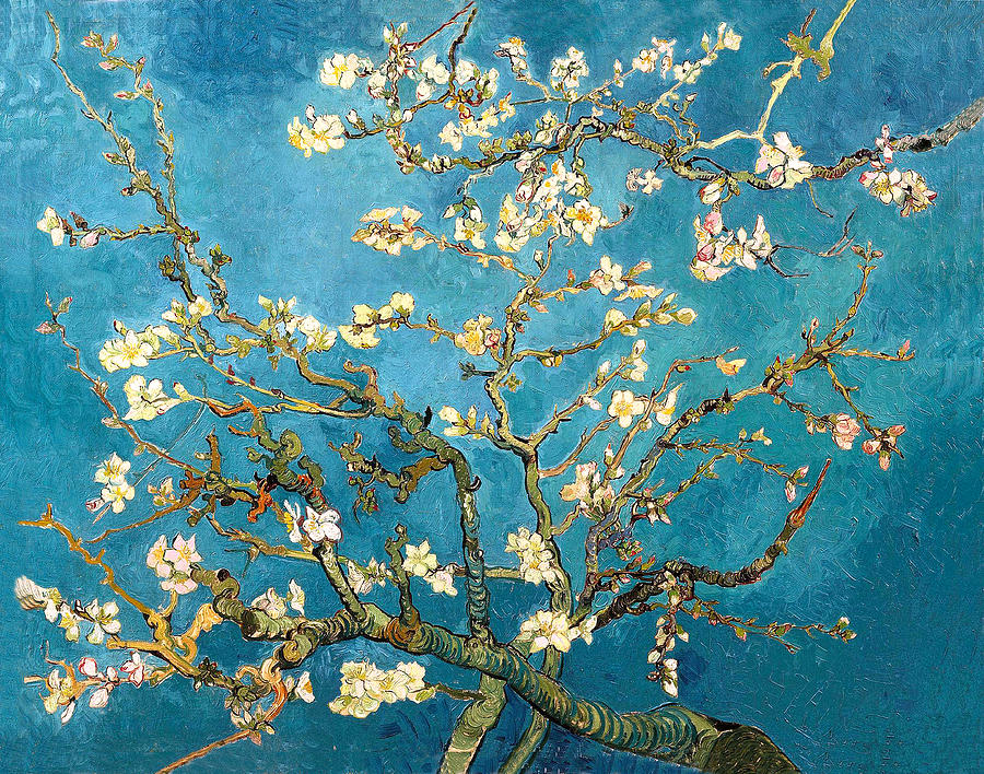 Vincent Van Gogh Painting - Almond tree by Sumit Mehndiratta