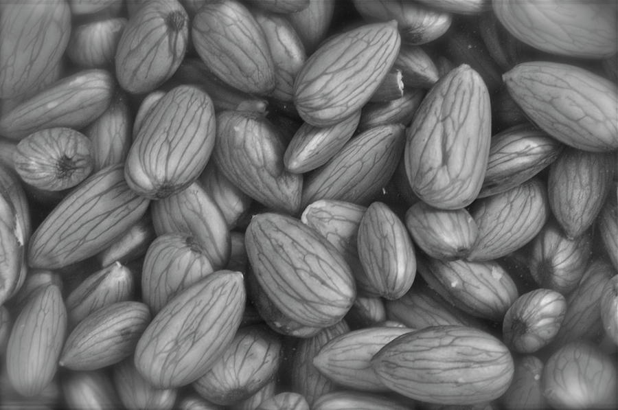 Almonds in h2o Photograph by Henri Irizarri
