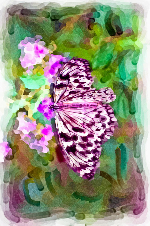 Almost Abstract Butterfly Digital Art by Ches Black