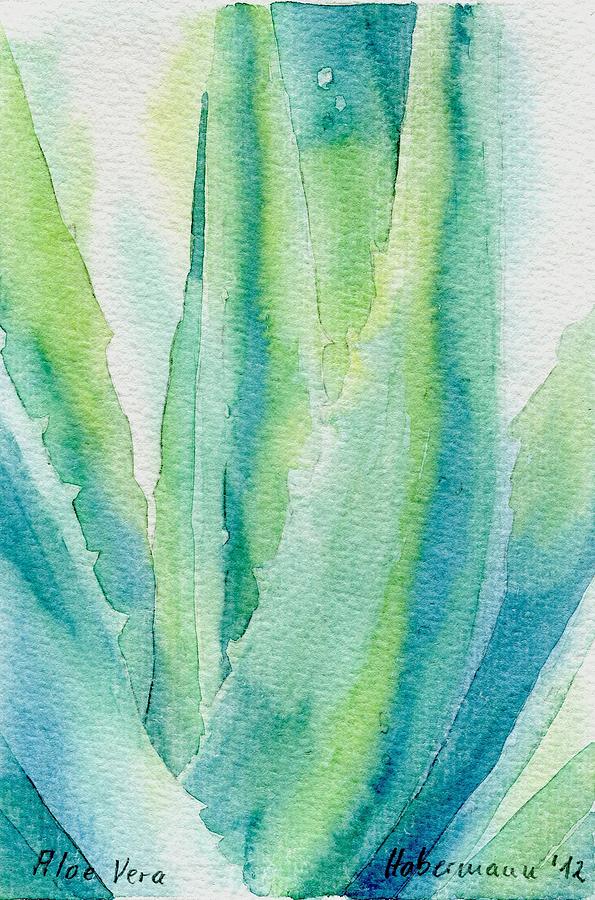 Aloe Vera Painting by Thomas Habermann