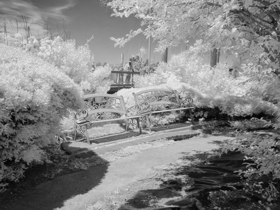 Along the Boat Docks - Infrared Photograph by Bill Barber