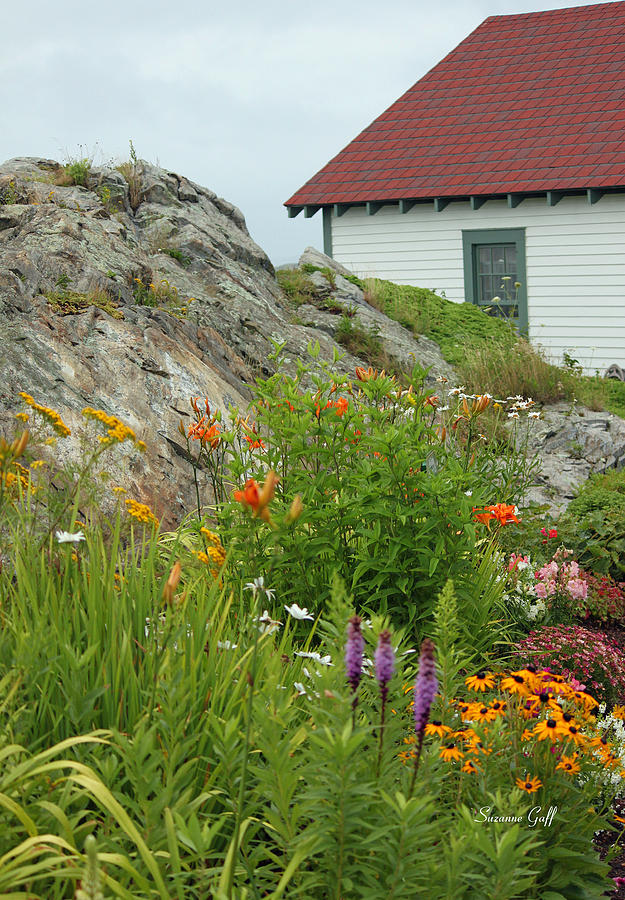 Along the Coast of Maine Photograph by Suzanne Gaff