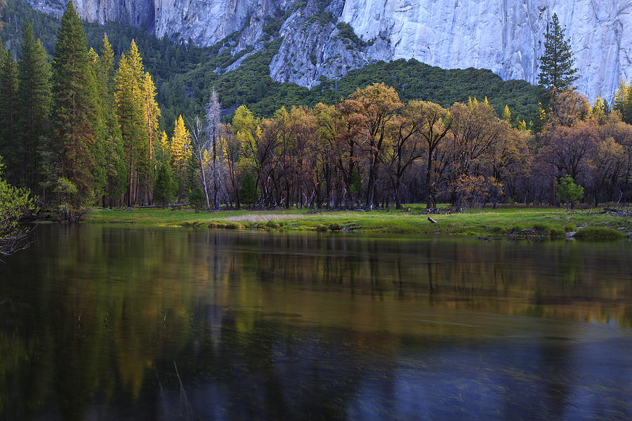 Yosemite National Park Photograph - Along The Merced by Rick Berk