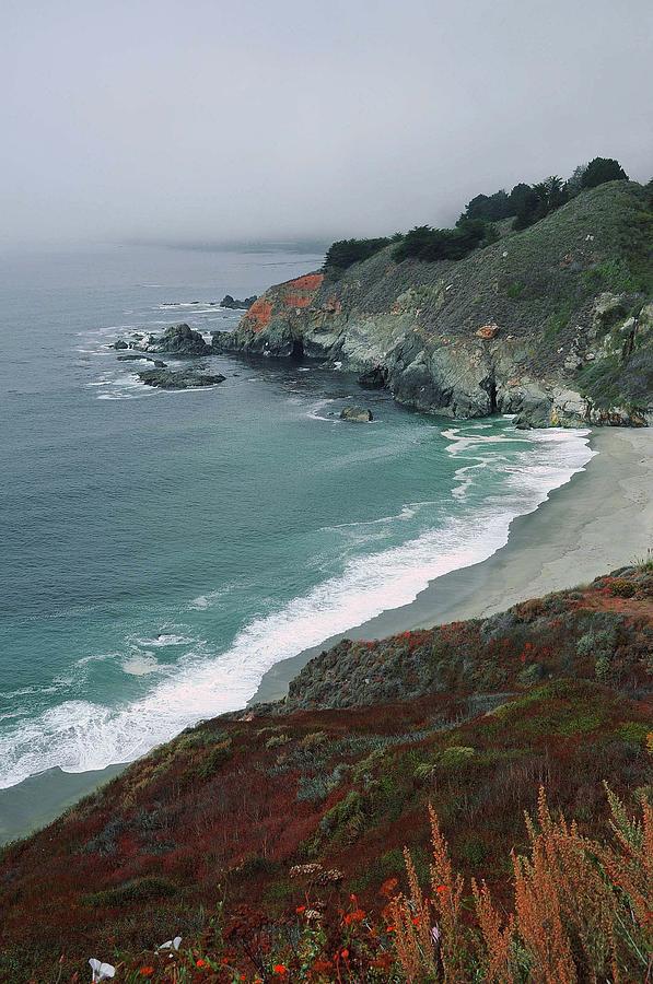 Along the Pacific Coast Photograph by Renee Hardison