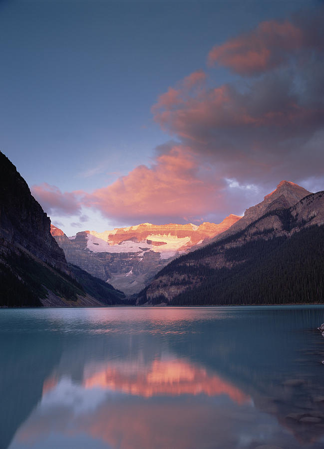 Alpenglow Lake Louise And Victoria Photograph by Tim Fitzharris