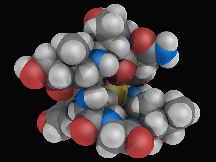 Alpha-amanitin Toxin Molecule Digital Art by Laguna Design