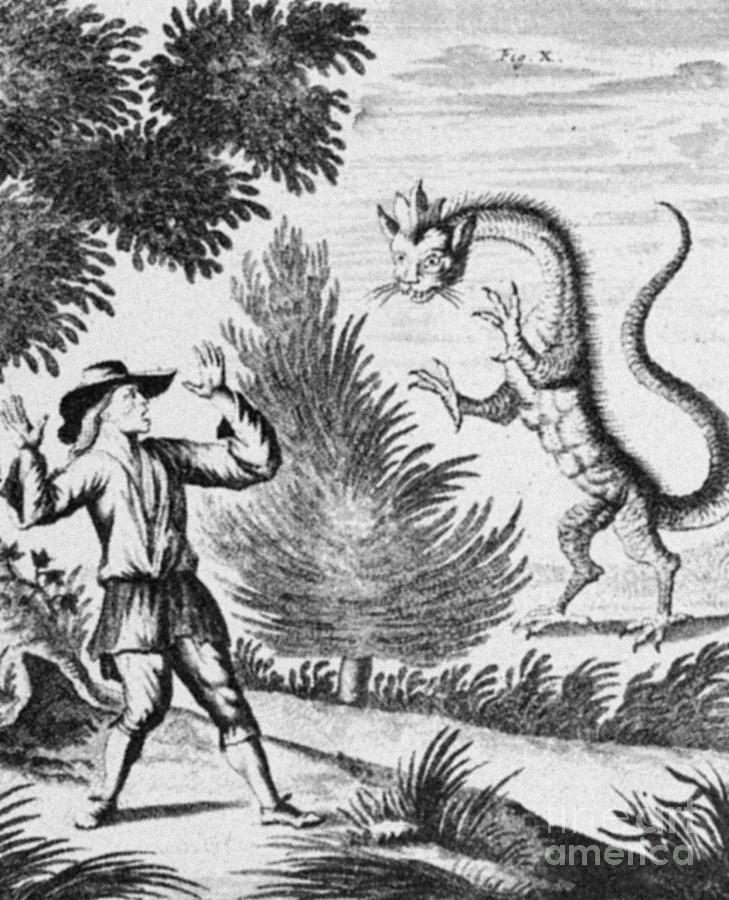 Alpine Dragon, 1723 Photograph by Granger | Pixels