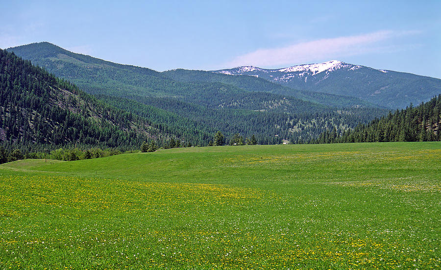 Alpine meadow Photograph by Rod Jones