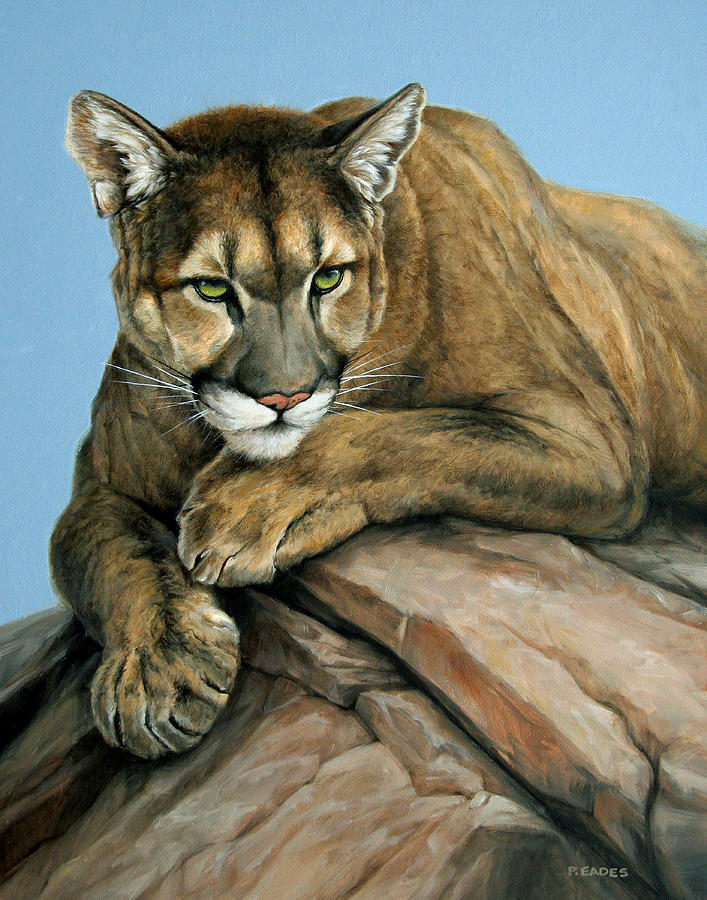 Alpine Princess by Peter Eades Alpine Princess by Peter Eades