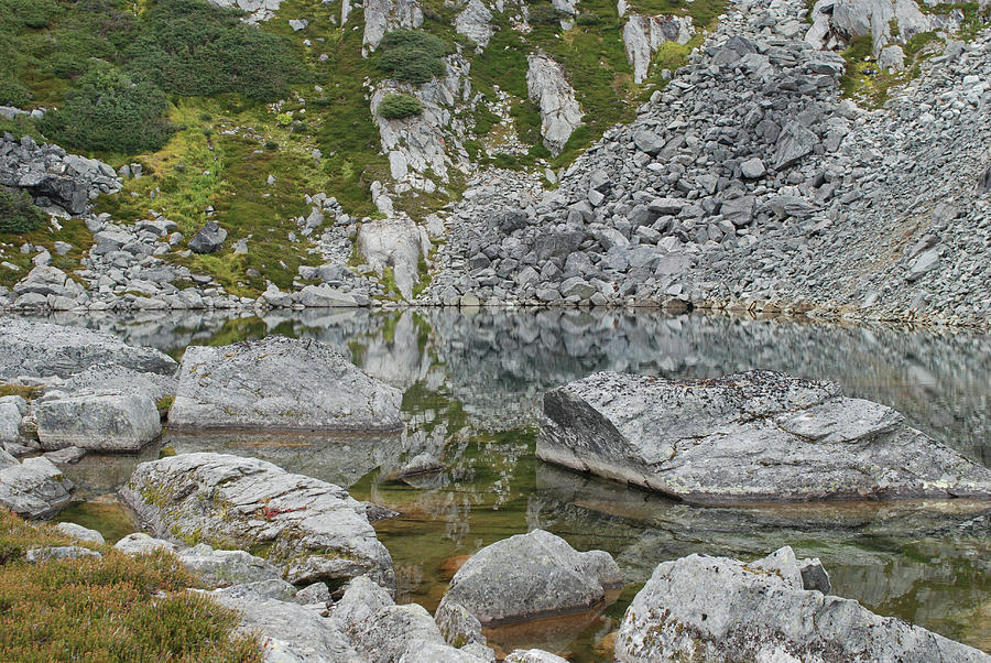 Alpine Water Edge by Jan Piet Alpine Water Edge by Jan Piet
