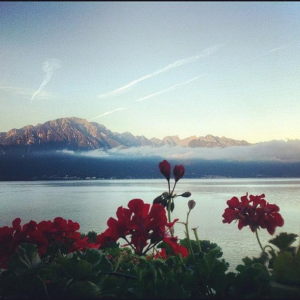 Beautiful Photograph - Alps In The Morning. View From My Window by Shejuti Biswas