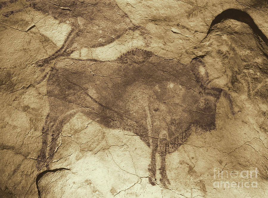 Altamira Cave Paintings Photograph by Photo Researchers