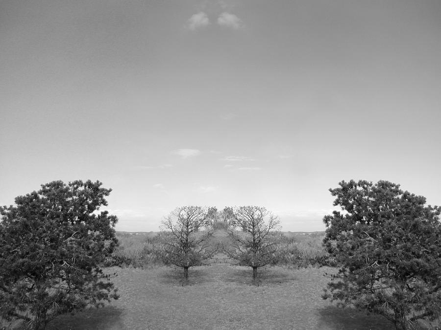 Altered Series - Two in a Landscape Photograph by Kathleen Grace
