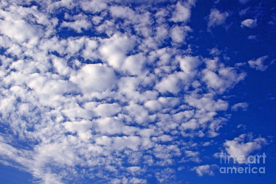 altocumulus clouds kenny bosak