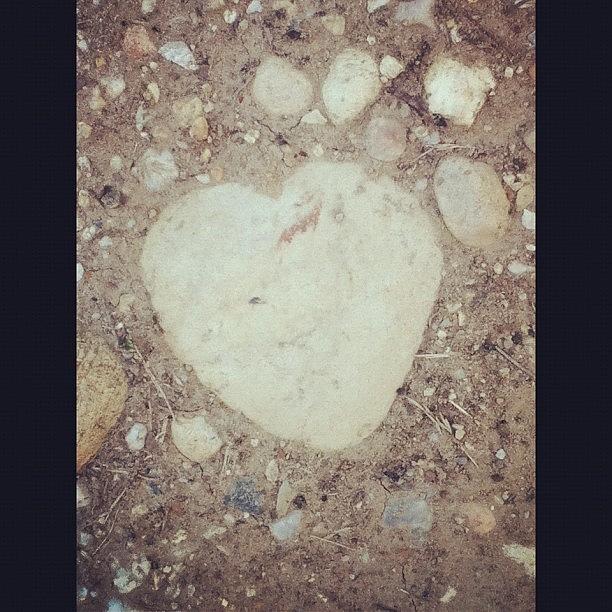 Always Finding Hearts In The Most Weird Photograph by Tanya Pillay