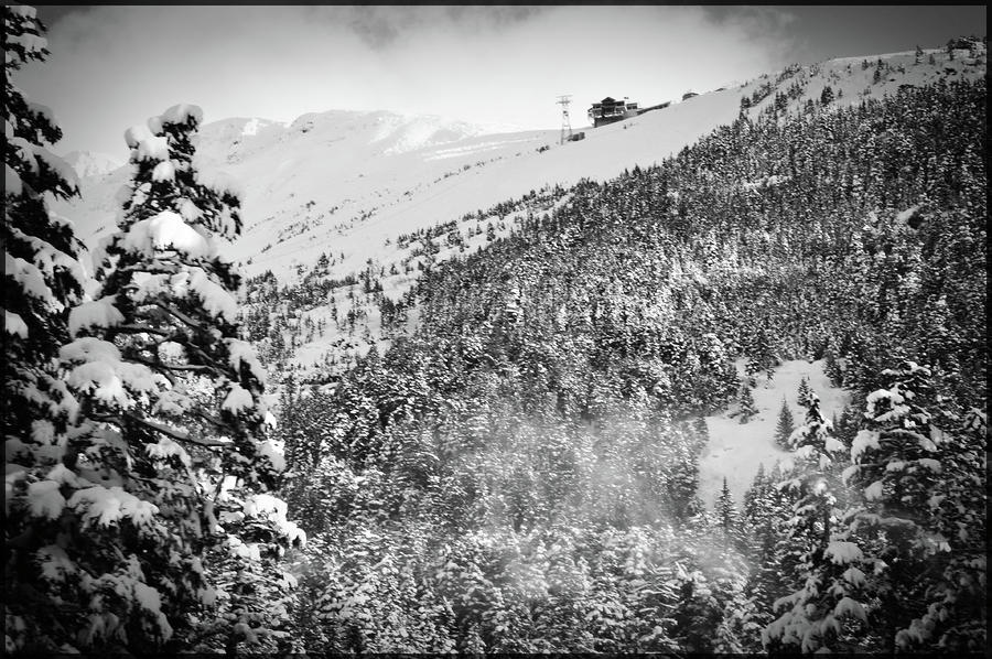 Alyeska Photograph by Dendra Chavez - Fine Art America