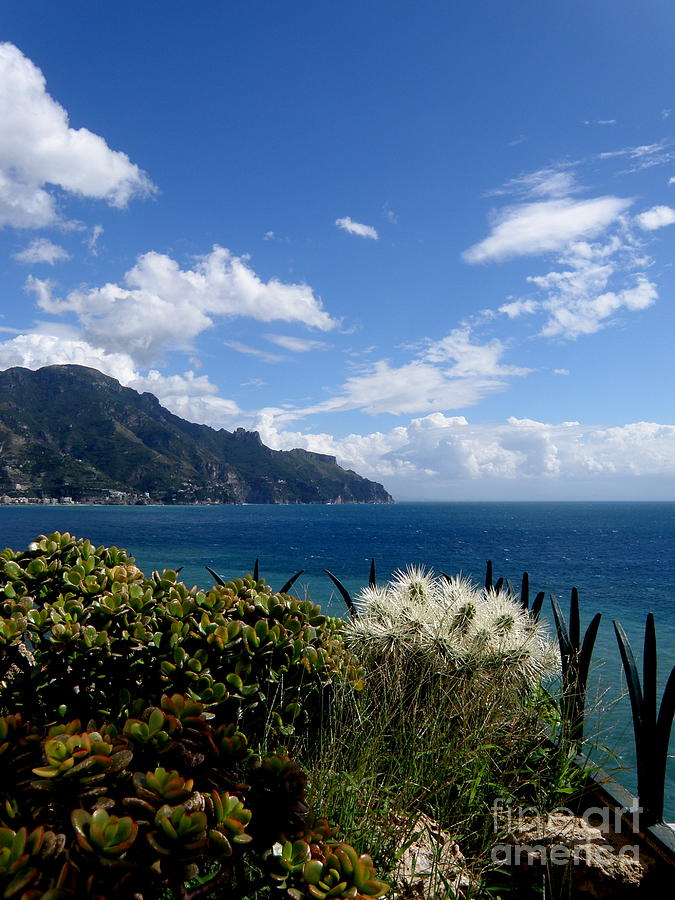 Amalfi Coast Succulents  2 Photograph by Tatyana Searcy