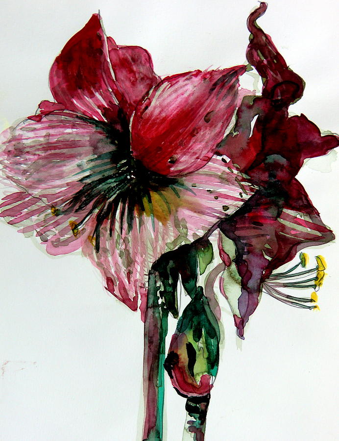 Lily Painting - Amaryliss by Mindy Newman
