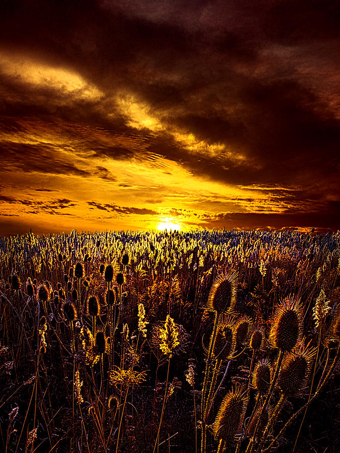 Amazing Grace Photograph by Phil Koch