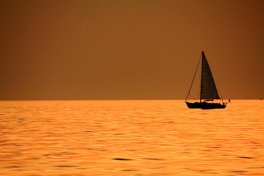 Amber Sail Photograph by Coby Cooper