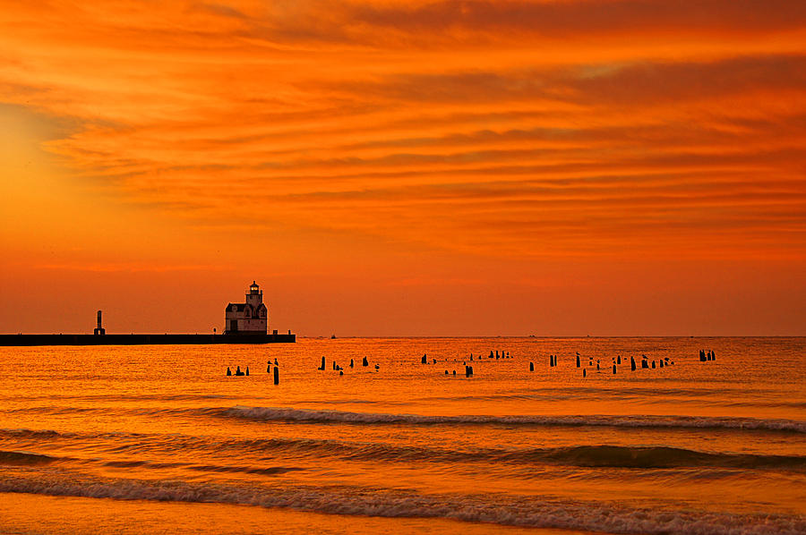 Amber Waves Photograph by Bill Pevlor