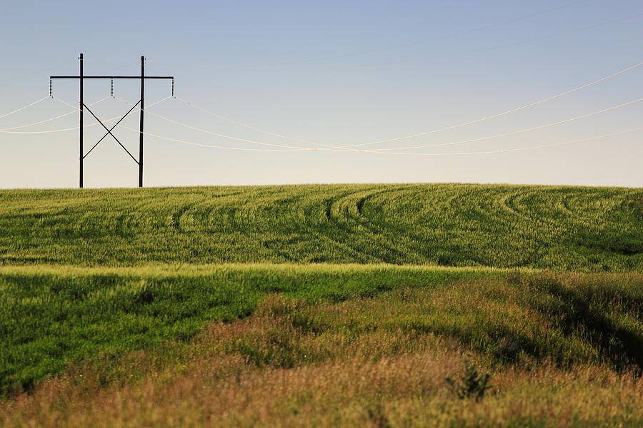 Field Photograph - America 1 by Chris Fullmer