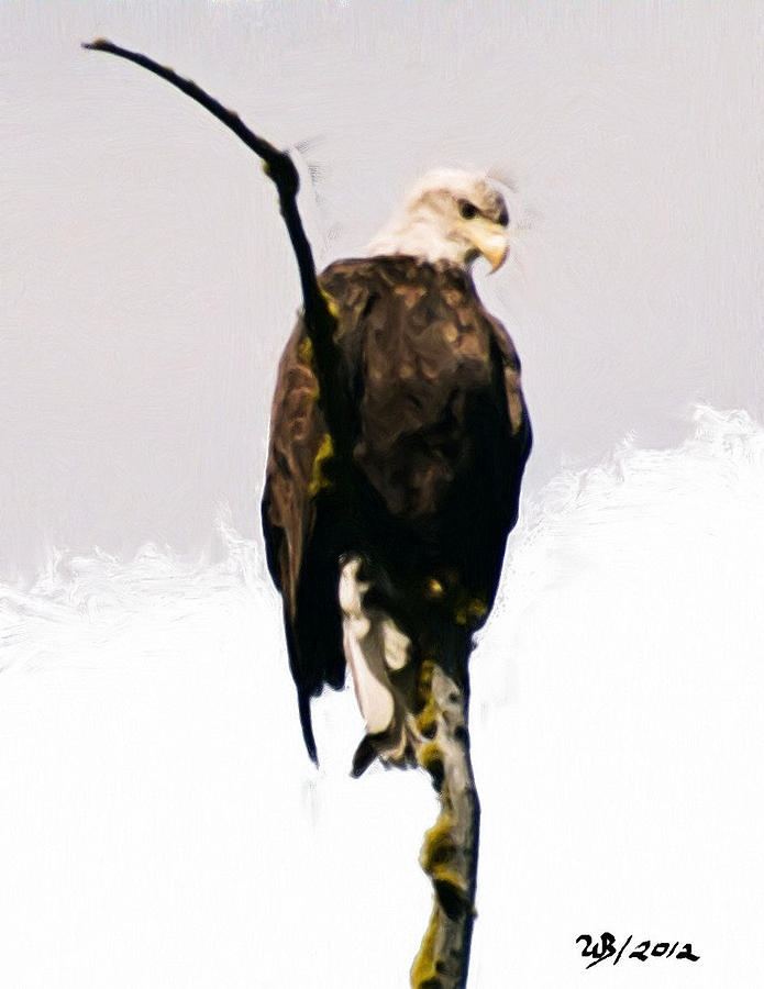 American Bald Eagle Painting by Wayne Bonney
