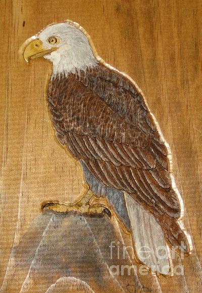 American bald headed eagle Pyrography by John Lang - Fine Art America