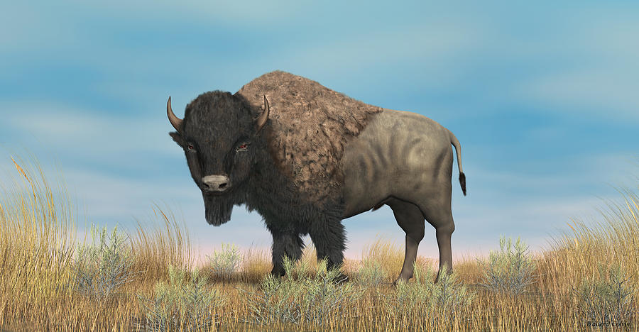 American Bison Digital Art by Walter Colvin