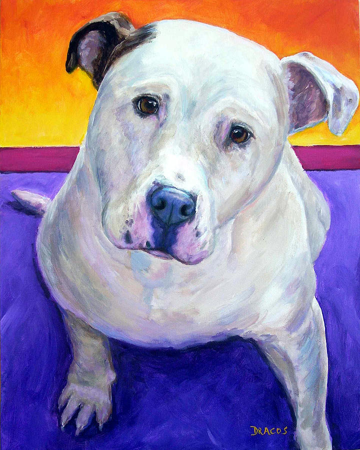 American Bulldog Looking Up Painting by Dottie Dracos
