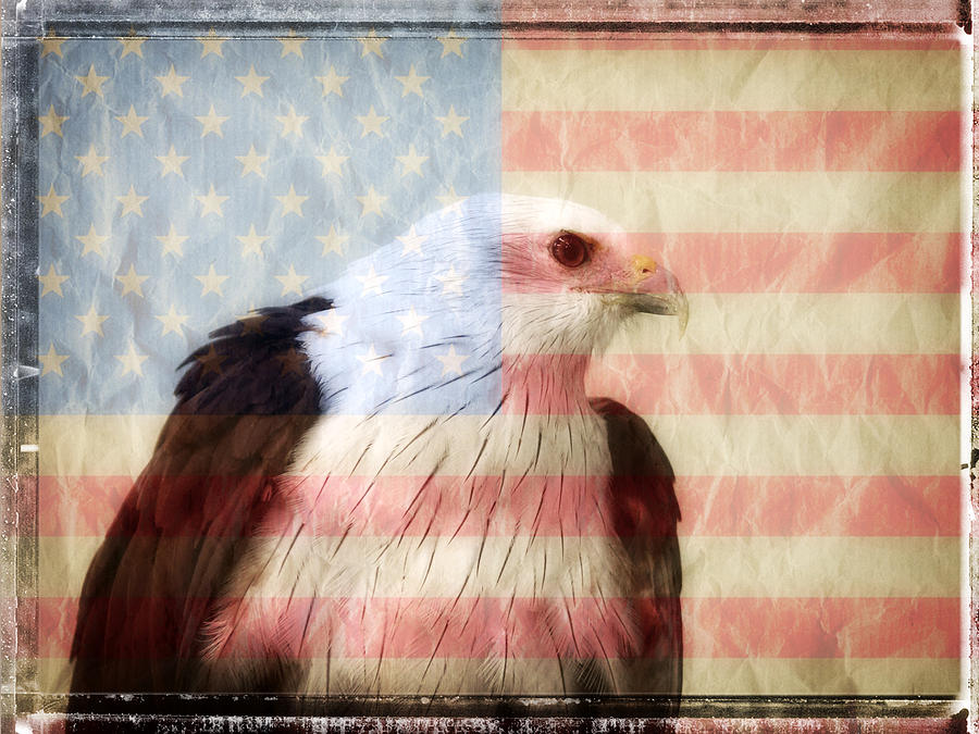 Flag Photograph - American Eagle Flag by Stephen Walker