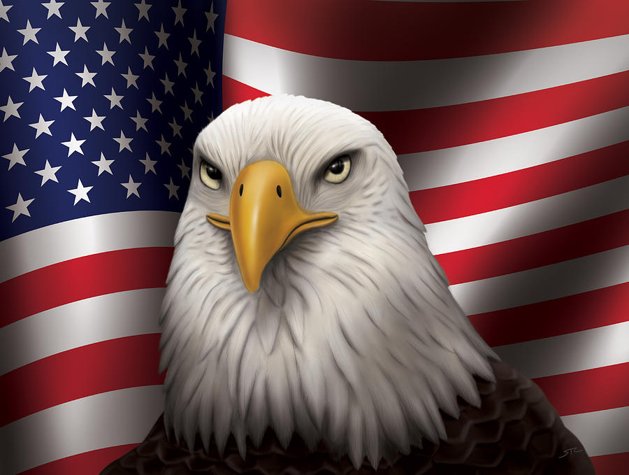 Звук орла америка. Белоголовый Орлан США. Белоголовый Орлан символ США. Белоголовый орёл символ Америки. Белоголовый Орлан на гербе США.