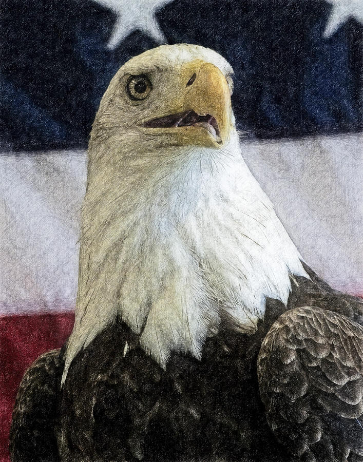 American Eagle Digital Art by Wade Aiken