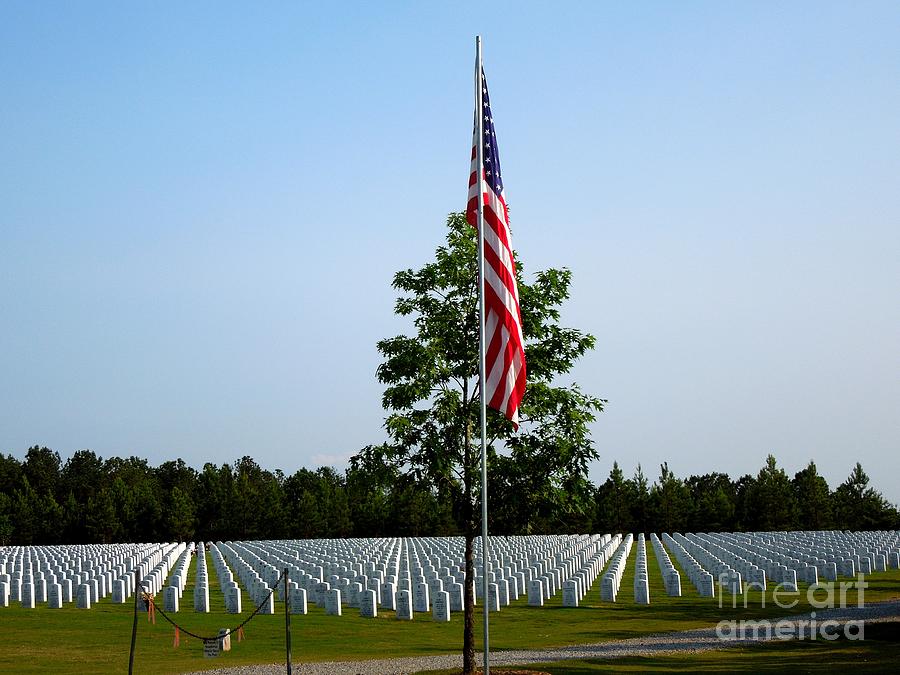 American Flag at Soldiers Graves Photograph by Renee Trenholm