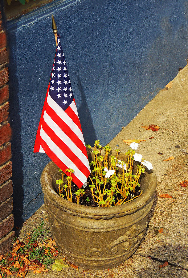 American Flag in Flower Pot - 3 Photograph by Larry Mulvehill