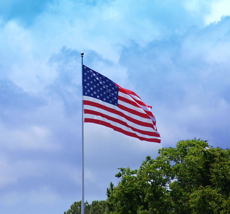 American Flag Photograph by Paul Wilford | Pixels