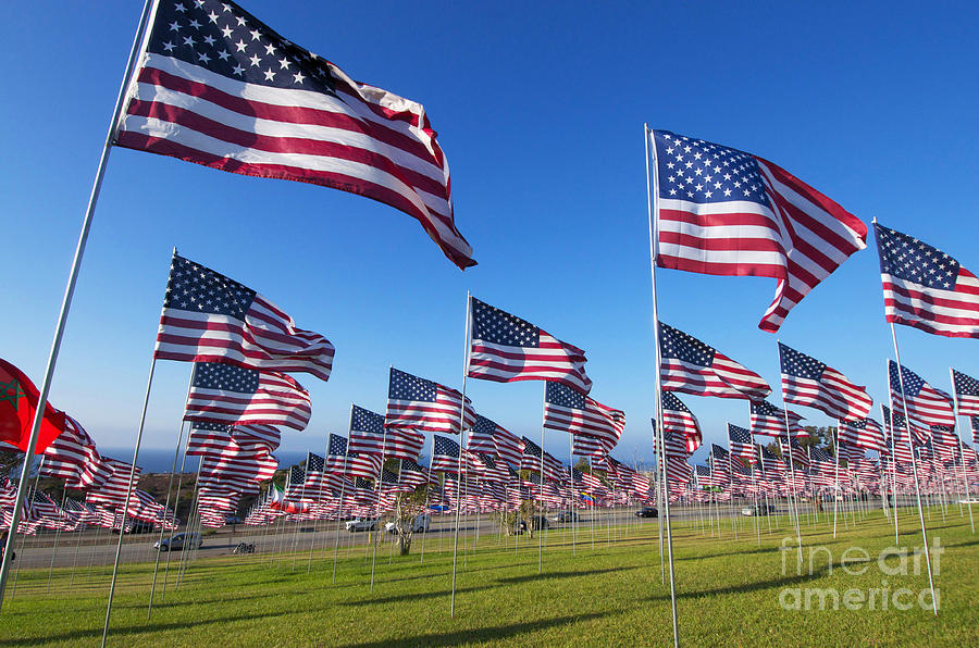 American Flags Photograph by Marc Bittan