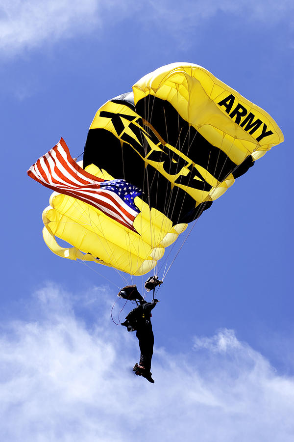 American Golden Knight Photograph by Greg Fortier