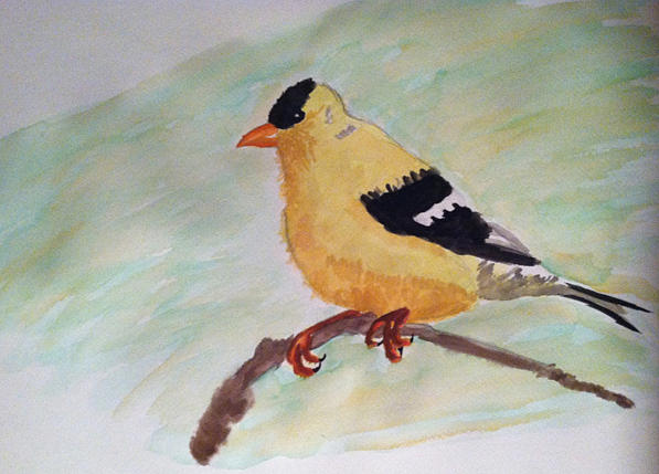 Nature Painting - American Goldfinch by Denese Anthony