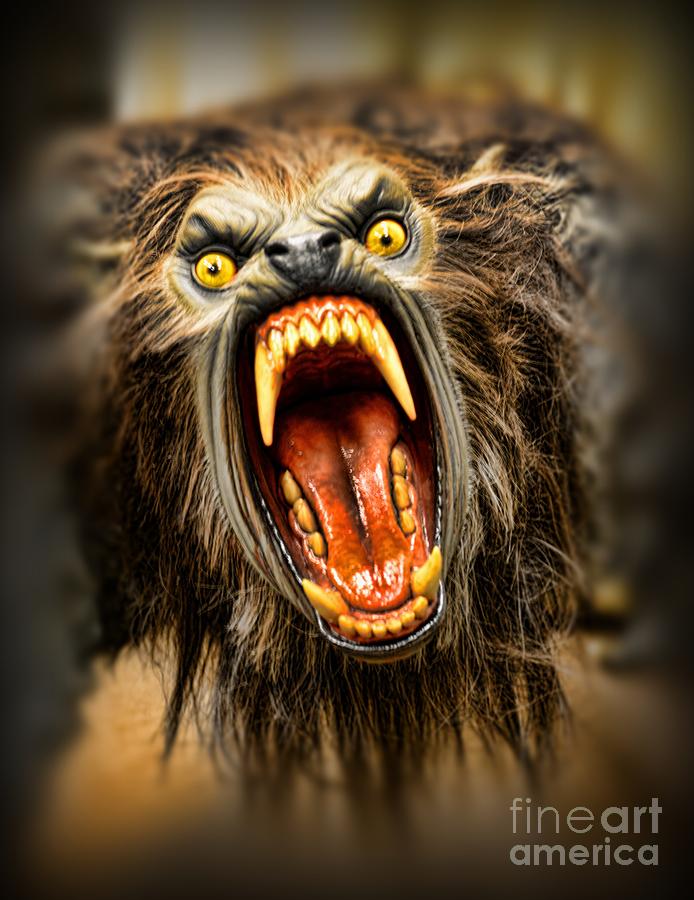 Halloween Photograph - American Werewolf by Paul Ward