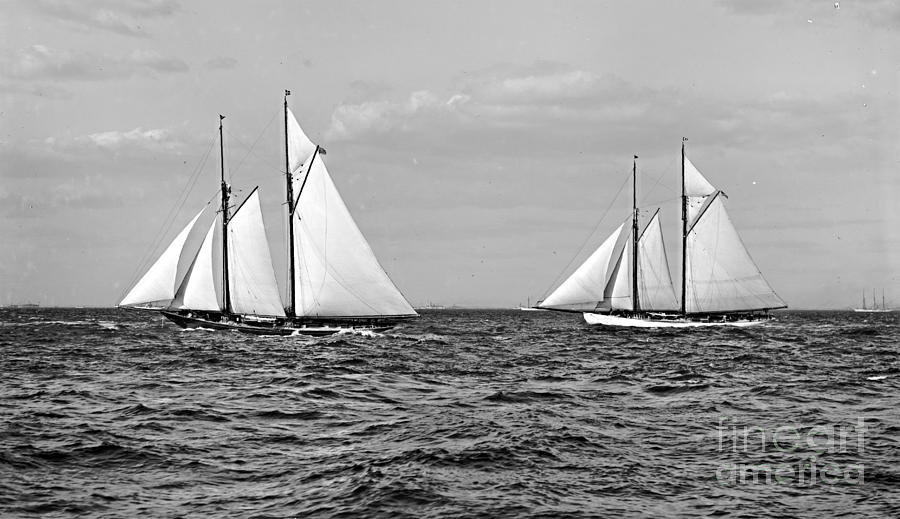 Americas Cup Contenders Idler and Hildegarde 1901 BW Photograph by Padre Art