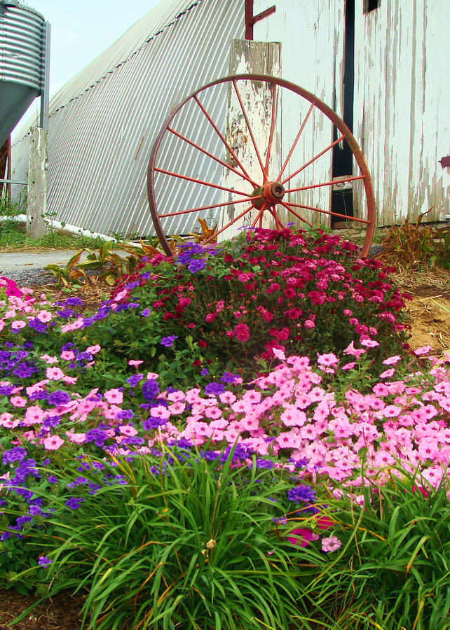 Amish Backyard Photograph by Joe Byrd - Fine Art America