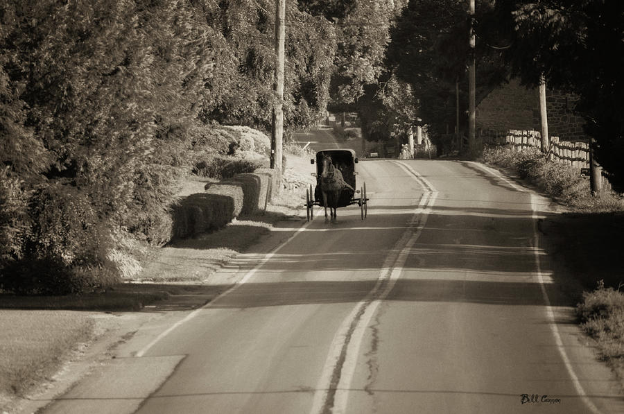 Amish Photograph - Amish Buggy - Lancaster County Pa by Bill Cannon
