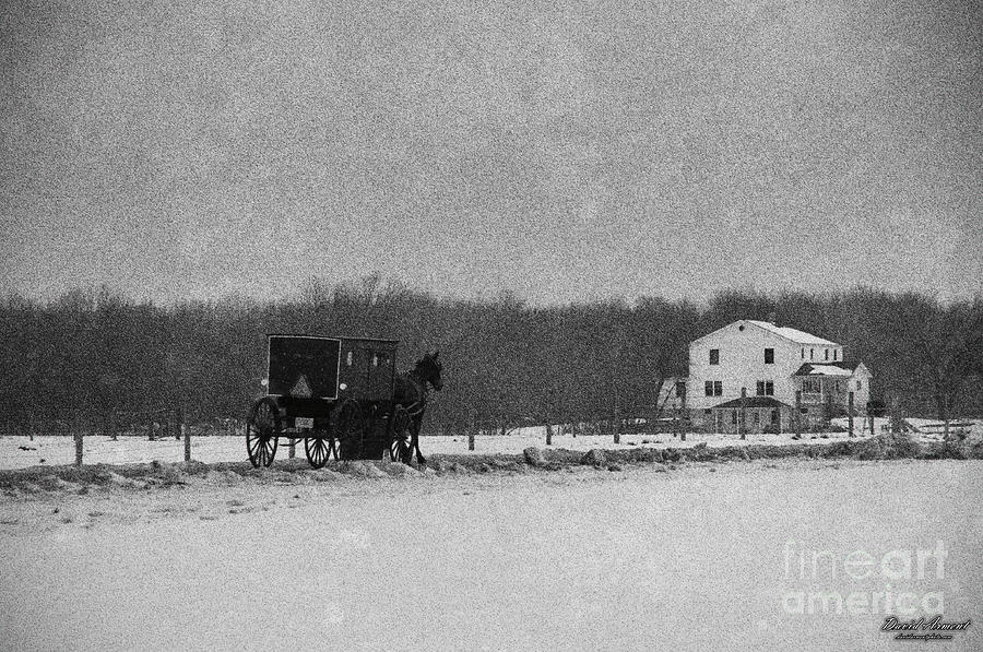 Black And White Photograph - Amish Buggy Black and White by David Arment