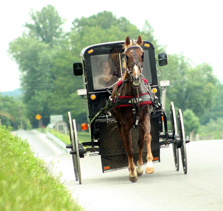 Amish buggy on the road Photograph by Emanuel Tanjala