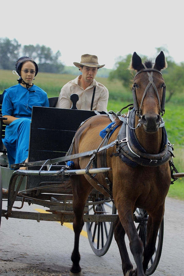 Amish Buggy Ride Photograph By Dennis Pintoski | My XXX Hot Girl