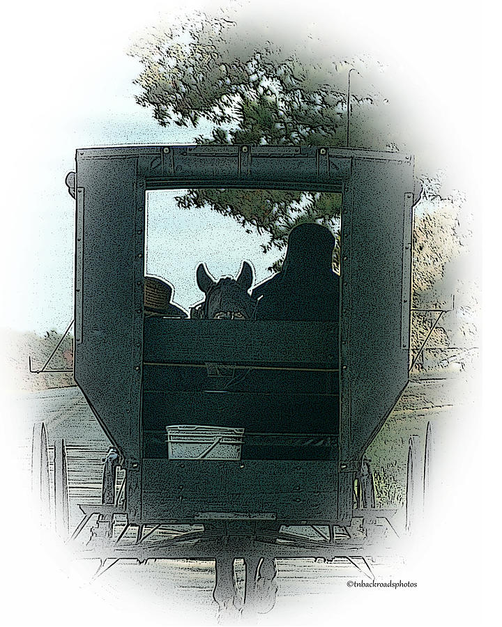 Amish Buggy Ride Digital Art by TnBackroadsPhotos 