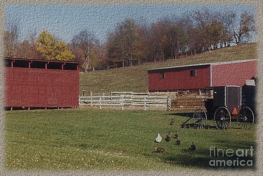 Amish Farm Photograph by Charles Robinson