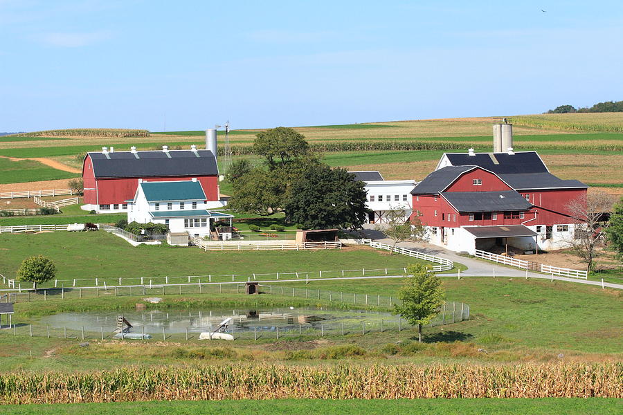 Ford honey farm #3